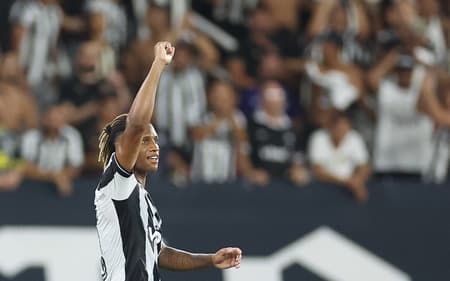 Danilo fez um dos gols do Botafogo contra o Nacional Potosí (Foto: Vítor Silva/Botafogo)