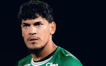 Torcedores celebraram atitude de Gustavo Gómez (Foto: Reprodução Instagram)