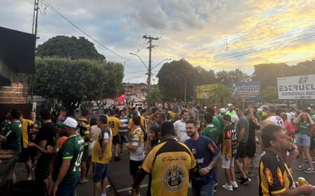 Torcidas do Palmeiras e do Novorizontino durante a final do Paulistão. (Foto: Vitor Palhares/ Lance!)