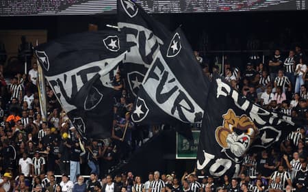 Torcida do Botafogo no Nilton Santos (Foto: Vitor Silva/BFR)