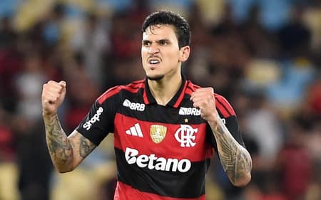 Pedro comemora gol do Flamengo contra o Sampaio (Foto: Alexandre Durão/Zimel Press/Gazeta Press)