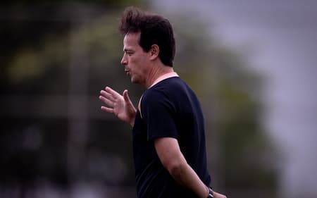 fernando diniz técnico corinthians