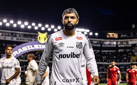 Gabriel Barbosa acumula 12 jogos e 7 gols com a camisa do Santos. (Foto: Marcus Viniccius/MyPhoto Press/Folhapress)