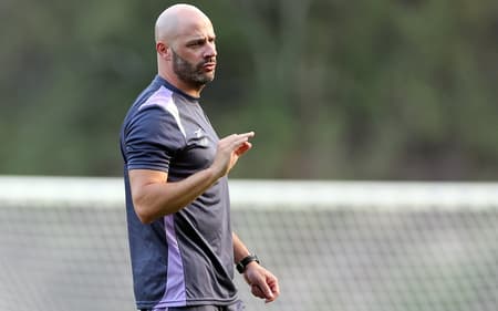 Franclim Carvalho é o novo técnico do Botafogo (Foto: Vítor Silva/Botafogo)
