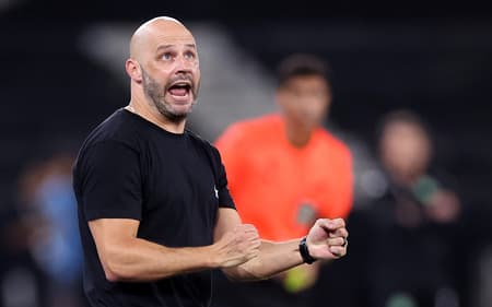 Franclim Carvalho é o técnico do Botafogo (Foto: Vítor Silva/Botafogo)