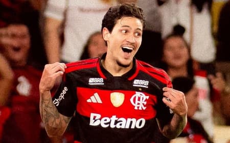 Pedro Flamengo