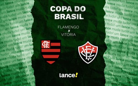 Flamengo x Vitória (Foto: Lance!)