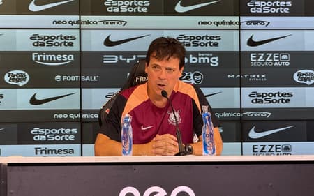 fernando diniz técnico treinador