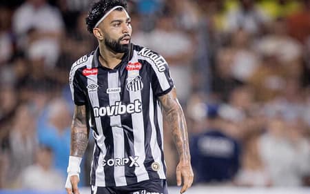 Gabriel Barbosa acumula 20 jogos e 9 gols pelo Santos nesta temporada. (Foto: Raul Barletta/ Santos FC)