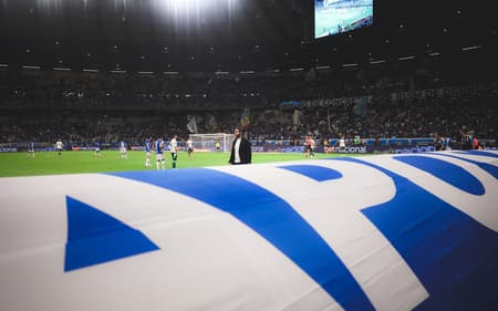 Torcida do Cruzeiro (Foto: Gustavo Martins/ Cruzeiro)