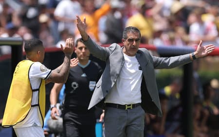 Renato Paiva é o técnico do Botafogo (Foto: Stu Forster/AFP)