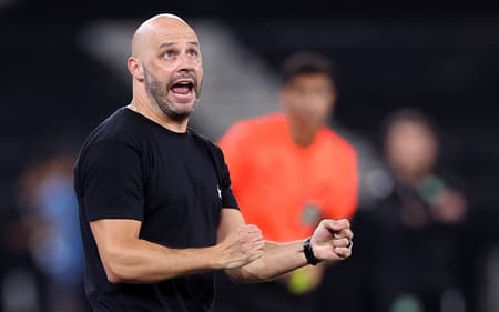 Franclim Carvalho é o técnico do Botafogo (Foto: Vítor Silva/Botafogo)