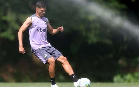 Anthony ainda não estreou pelo Botafogo (Foto: Vítor Silva/Botafogo)