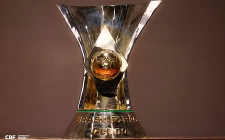 Taça troféu do Brasileirão Campeonato Brasileiro (5)