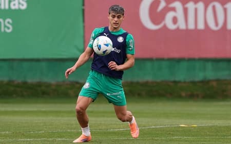 Ramón Sosa, Palmeiras, antes da Libertadores