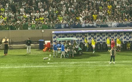 Ramón Sosa, Palmeiras