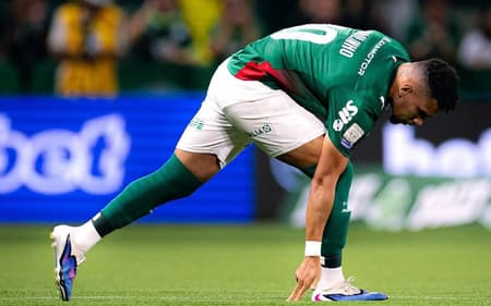 Paulinho - Palmeiras