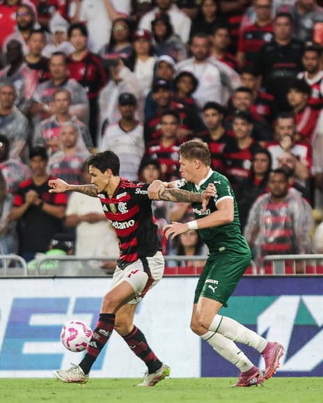 Pedro Fuchs Flamengo Palmeiras