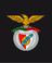 topinho-benfica