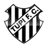 Escudo Tupi