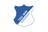 escudo hoffenheim