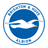 Escudo Brighton