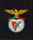 topinho-benfica