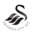 Escudo do Swansea
