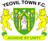 Yeovil Town escudo