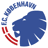 Copenhagen escudo