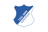escudo hoffenheim