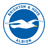 Escudo Brighton