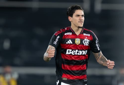 Pedro comemora gol do Flamengo contra o Botafogo (Foto: Jorge Rodrigues/AGIF)