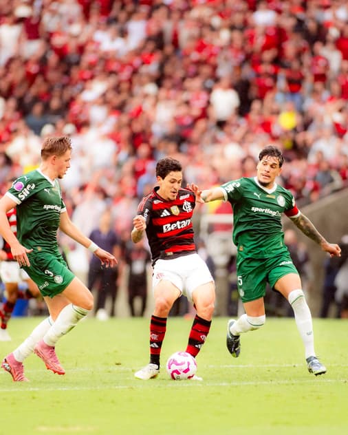 Flamengo x Palmeiras pelo Campeonato Brasileiro (Foto: Adriano Fontes/Flamengo)