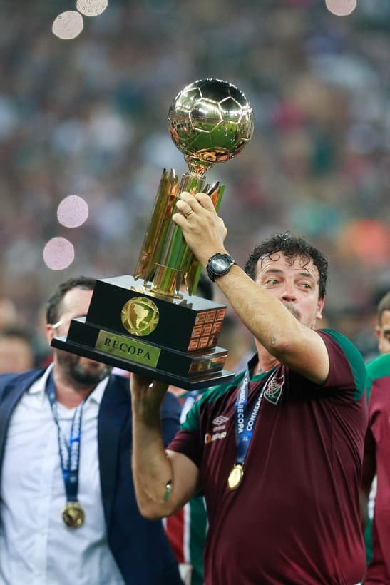 Diniz foi campeão no Fluminense (Foto: Rudy Trindade / Folhapress)