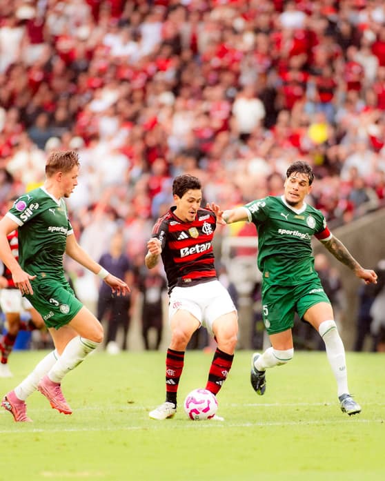 Flamengo x Palmeiras pelo Campeonato Brasileiro (Foto: Adriano Fontes/Flamengo) 
