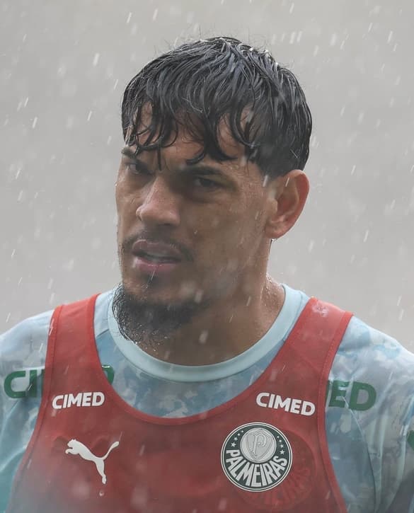 Gustavo Gómez, zagueiro do Palmeiras