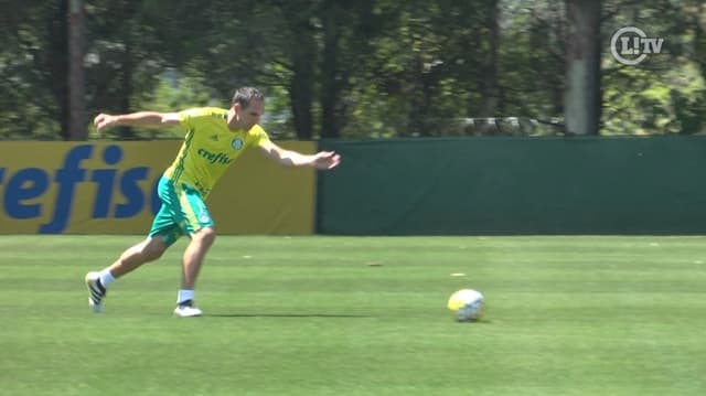 Em recuperação, Fernando Prass bate bola e treina firme no Palmeiras