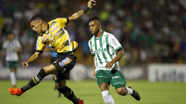 Último confronto: Novorizontino 0x3 Palmeiras - 12