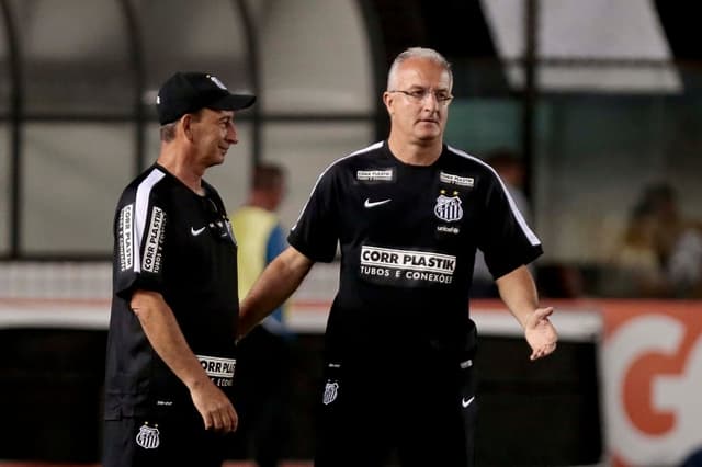 Santos x Flamengo (Foto: Ale Cabral/Lancepress!)