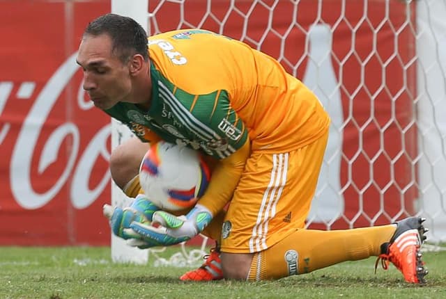 Fernando Prass (Foto: Cesar Greco/Ag Palmeiras/Divulgação)