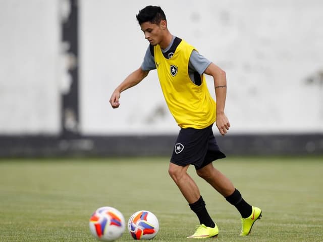 Diogo Barbosa (Foto: Vitor Silva/SSPress/Botafogo)