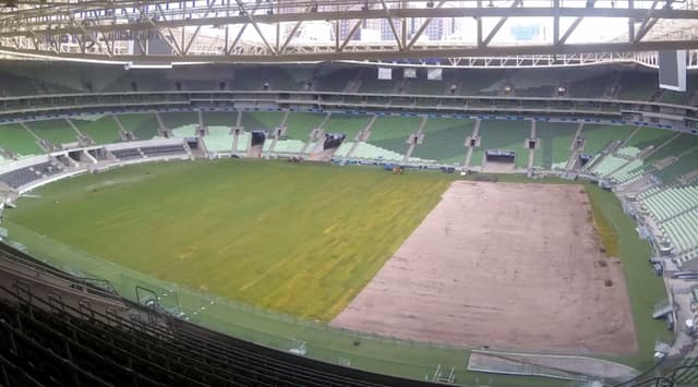 Allianz Parque novo gramado