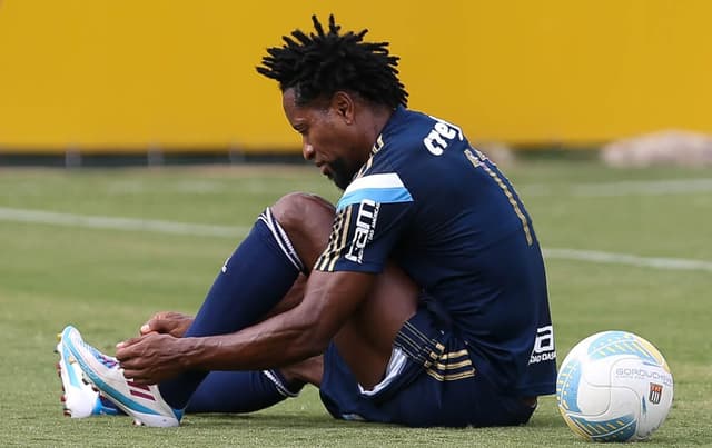 Zé Roberto - Palmeiras (FOTO: Cesar Greco/Palmeiras)