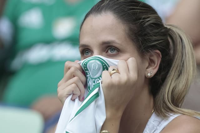 Campeonato Paulista - Palmeiras x Linense (foto:Reginaldo Castro/LANCE!Press)