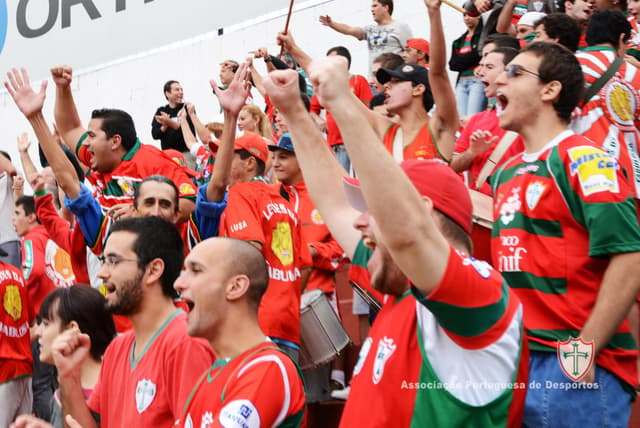 Torcida da Portuguesa no Canindé (Foto: site oficial da Portuguesa)