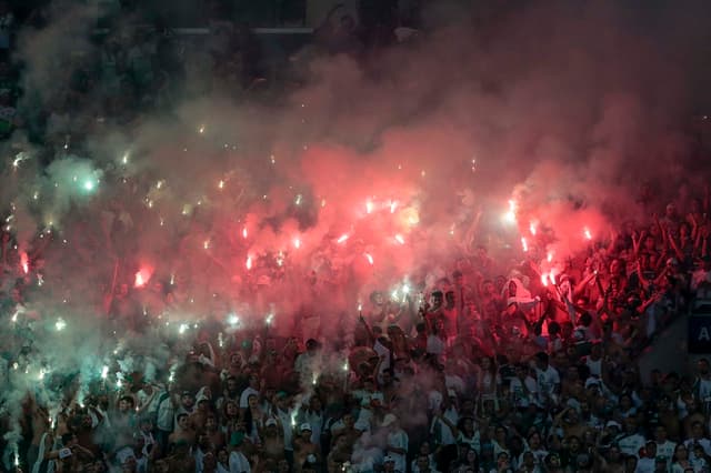 Campeonato Paulista - Palmeiras x São Bernado (foto:Ale Cabral/LANCE!Press)