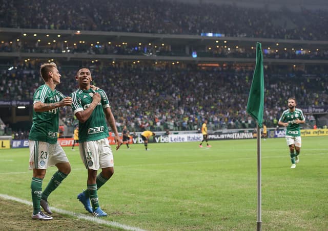 Campeonato Paulista - Palmeiras x São Bernado (foto:Marcelo Machado de Melo/fotoarena)