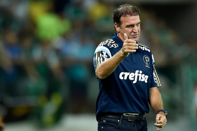 Campeonato Paulista - Palmeiras x São Bernado (foto:Marcelo Machado de Melo/fotoarena)