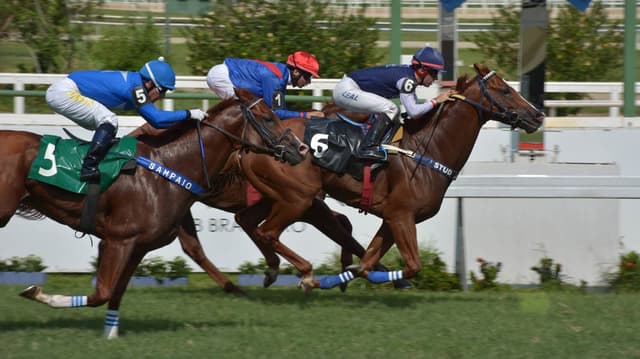 Aprendendo a jogar nos cavalos